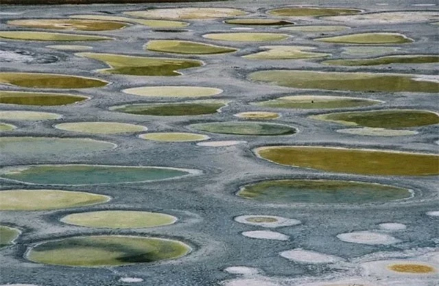 Những vòng tròn kỳ lạ trên hồ nước được tin có tác dụng chữa bệnh 3