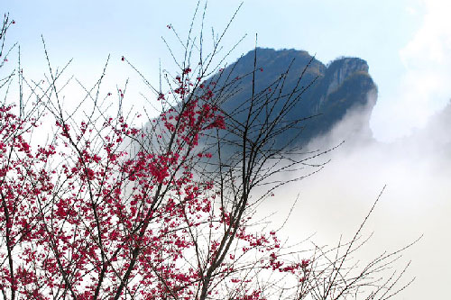 Núi Hàm Rồng - Điểm đến hấp dẫn bậc nhất Sa Pa