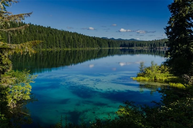 Khám phá hồ nước ẩn chứa cả khu rừng cổ xưa 1
