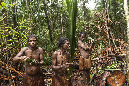 Hình ảnh hiếm hoi về người Korowai - bộ lạc mà thế giới "suýt" không biết đang tồn tại