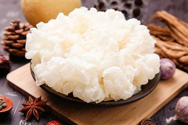 Loại nấm từng là cống phẩm cho vua chúa suốt 1.000 năm, nay được lập cả bảo tàng riêng