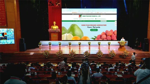 Doanh nghiệp Singapore hỗ trợ nông sản Việt xuất khẩu trực tuyến giữa đại dịch - Ảnh 1.