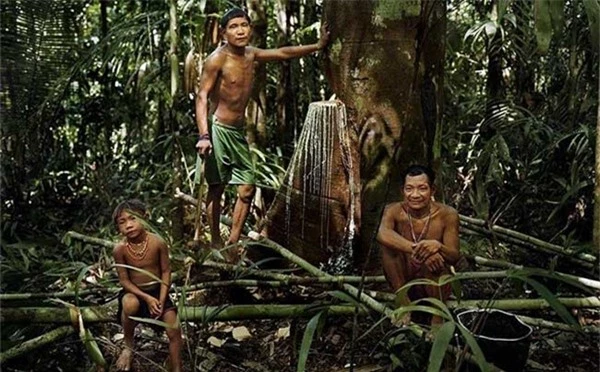 Lạ lùng bộ lạc trong rừng thẳm chỉ ngủ 30 phút, không có số đếm 1