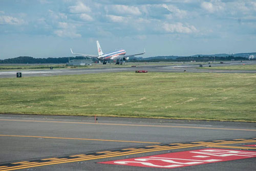 Bí mật bên trong sân bay nổi tiếng ở Mỹ liên quan tới loài động vật tuyệt chủng