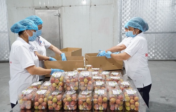 Tiêu thụ hơn 90.000 tấn vải thiều Bắc Giang và Hải Dương qua nhiều kênh