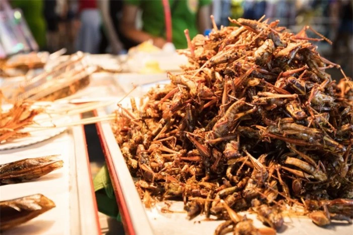 10 món ăn kỳ lạ nhất định phải thử khi du lịch đến Thái Lan 1