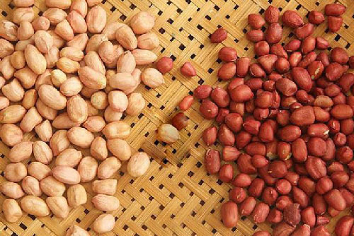 Lạc được ví như hạt trường thọ, ăn vào ngừa bệnh tật nhưng có 3 nhóm người cần tránh xa kẻo hại thân