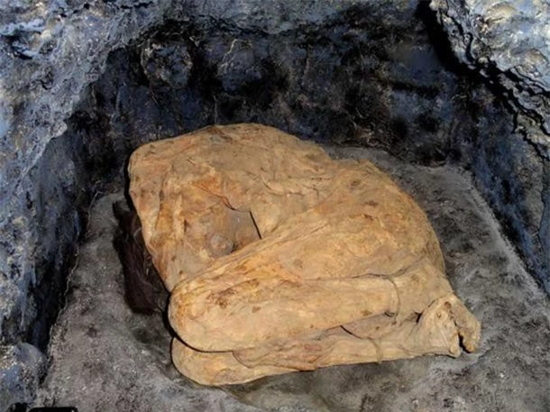 Bí ẩn xác ướp cổ xưa bị bỏ quên trong nhà xe ở California ảnh 1