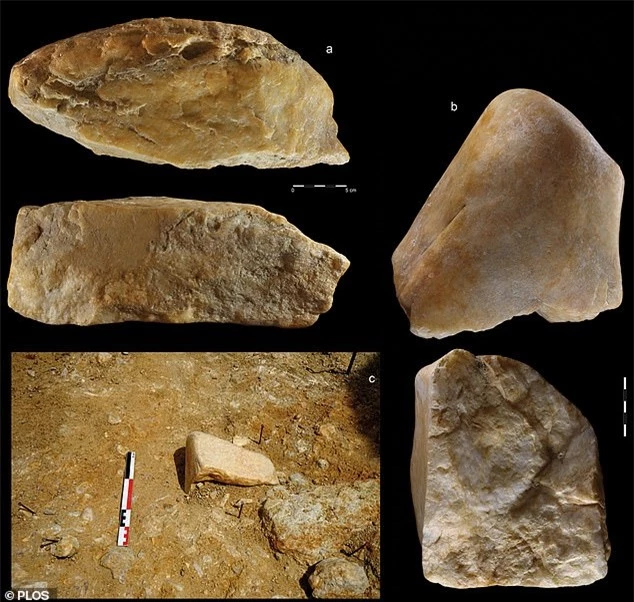 Phát hiện công cụ đá kỳ lạ trong mỏ vàng cách đây 1 triệu năm 4