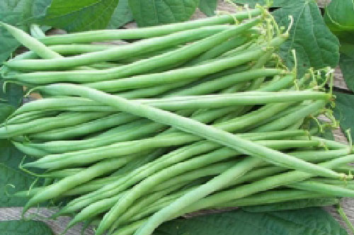 5 thực phẩm "quen mặt" dễ gây ngộ độc nếu không được nấu chín