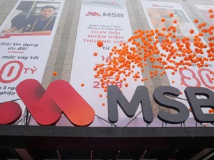 MSB phát hành 18 triệu cổ phiếu ESOP giá 10.000 đồng