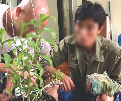 Đồng Tháp: Trào lưu lan đột biến, nguy cơ biến tướng thành đa cấp hoặc rửa tiền