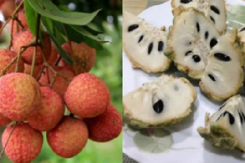 10 loại trái cây ngon ngọt nhưng gây nóng trong, nổi mụn nhọt, không nên ăn nhiều vào mùa hè