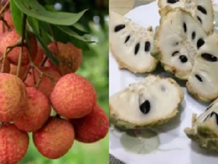 10 loại trái cây ngon ngọt nhưng gây nóng trong, nổi mụn nhọt, không nên ăn nhiều vào mùa hè