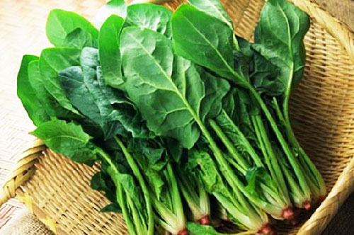 Rau xanh tốt cho sức khỏe sĩ tử mùa thi