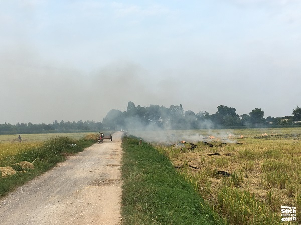 Đã có ít nhất 6 huyện ngoại thành Hà Nội áp dụng giải pháp xử lý rơm rạ thay vì đốt