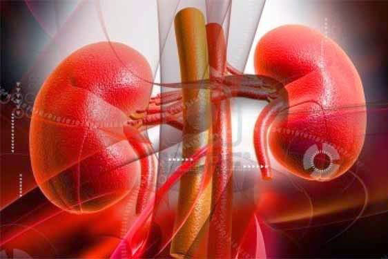 Người bị bệnh thận ăn thực phẩm này chết càng nhanh