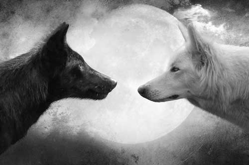 Người khôn ngoan mang tên "3 KHÔNG": Không tức, tránh tổn phúc khí; không lo lắng, tránh hao tâm; không tranh biện, tránh tổn sức