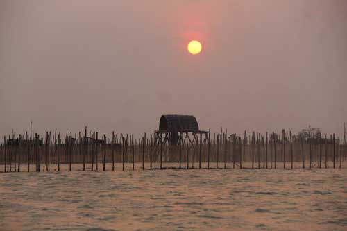 Khám phá vẻ đẹp bình yên của đầm Chuồn