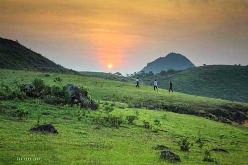 Vẻ đẹp lãng mạn của Đồi Tình, Quảng Ninh