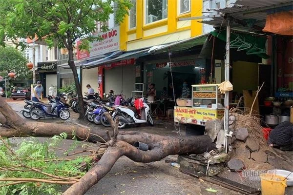 Bão số 2 lướt qua gây thiệt hại tại Thái Bình, Hải Phòng