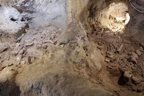Một trong số những người Neanderthal được tìm thấy trong hang động sống cách đây khoảng 100.000 đến 90.000 năm, và 8 người khác có niên đại khoảng 65.000 đến 50.000 năm trước. Ảnh: Guardian.