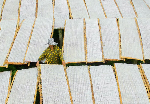 7 đặc sản bánh tráng độc đáo của Việt Nam