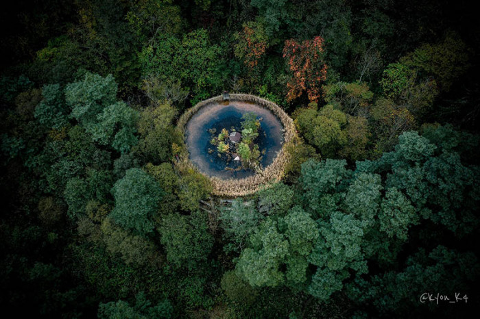 Ngôi trường bỏ hoang suốt 47 năm, bị cây cối nuốt chửng, khung cảnh đầy ma mị