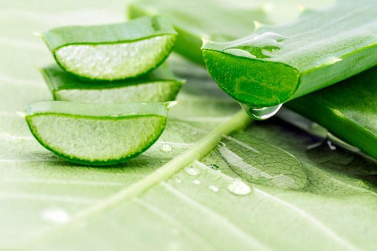 Da trắng cực nhanh chỉ bằng cách dùng nha đam