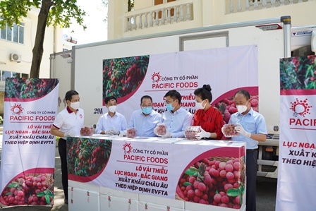 “Vượt covid” vải thiều Lục Ngạn lên đường sang EU