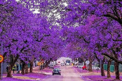 Những con phố đẹp nhất thế giới