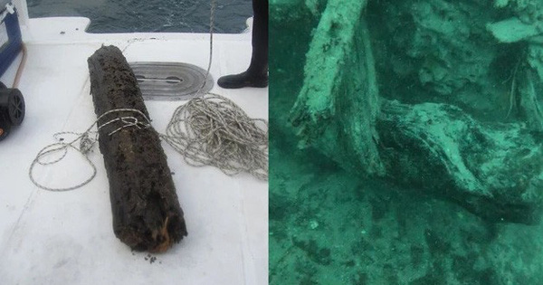 Các nhà khoa học tiến hành thám hiểm một khu rừng cổ xưa 60 nghìn năm tuổi chìm dưới biển