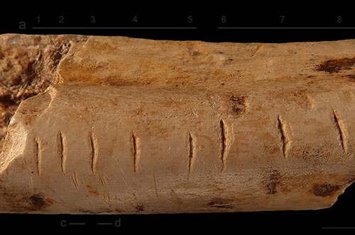 Bằng chứng sốc về một loài người khác từng thông minh vượt chúng ta