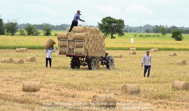 Doanh nghiệp "ngược nắng" áp dụng giải pháp cuộn rơm bảo vệ môi trường