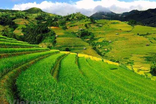 Mù Cang Chải: Vẻ đẹp say lòng du khách giữa núi rừng Tây Bắc