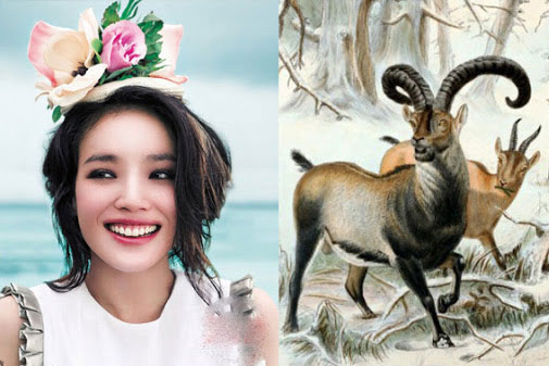 3 con giáp nữ trót mang "mệnh khổ", nhưng chịu thương chịu khó, tâm sáng như ngọc, hậu vận an yên hưởng phú quý