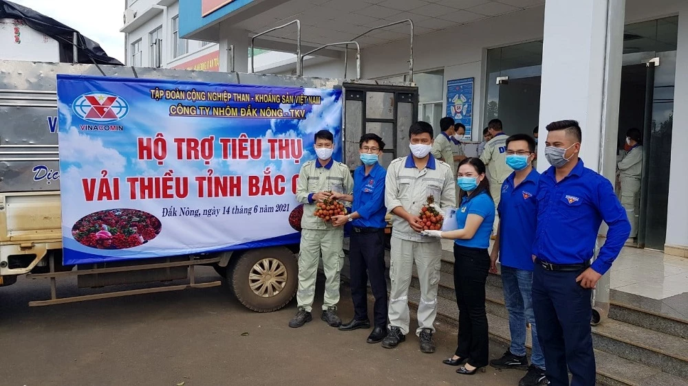 Hơn 6 tấn vải thiều Bắc Giang đã được cán bộ công nhân viên Công ty Nhôm Đắk Nông - TKV tiêu thụ.