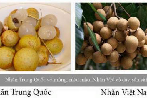 Cách phân biệt nhãn Trung Quốc và nhãn Việt Nam điều ai cũng cần