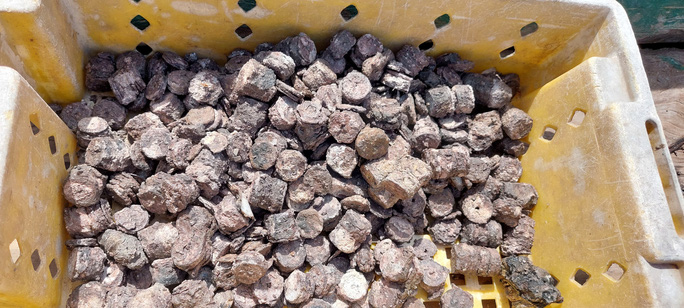 'Kho báu' dưới đáy biển Quảng Bình: Số tiền bị chìm cách đây 200 năm