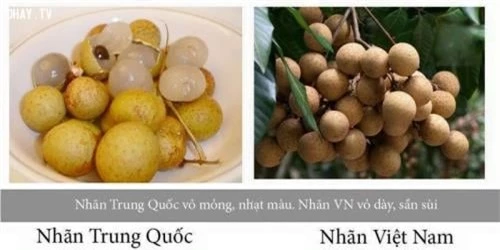 phân biệt nhãn ta