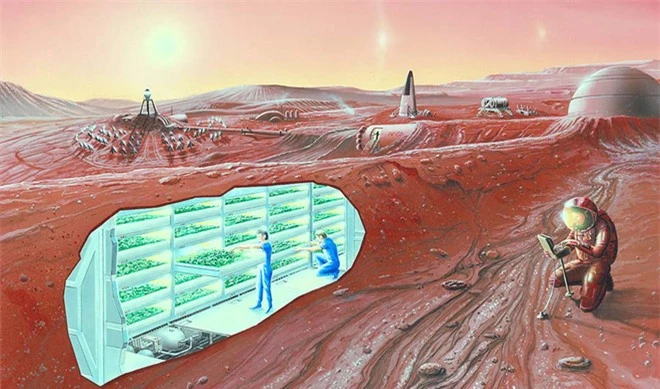 Con người có thể sinh sản trên sao Hỏa vì tinh trùng có thể tồn tại trên đó tới 200 năm - Ảnh 2.