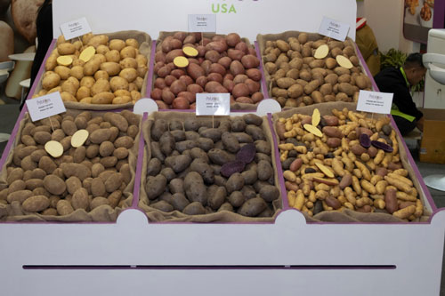 Sai lầm khi ăn khoai tây gọt bỏ vỏ