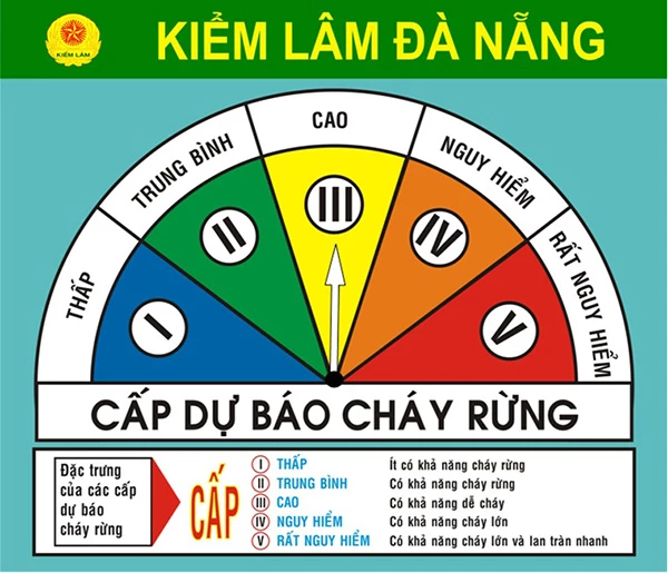 Cảnh báo về nguy cơ cháy rừng trên địa bàn TP được Chi cục Kiểm lâm Đà Nẵng đưa ra ngày 16/6