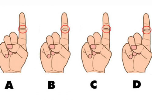 Nhìn vào đường chỉ tay ngón trỏ, đoán vận mệnh sang hèn