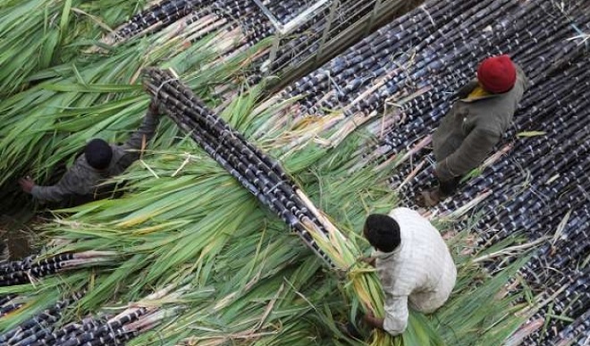 Việt Nam áp thuế chống bán phá giá với đường mía Thái Lan ở mức 47,64%