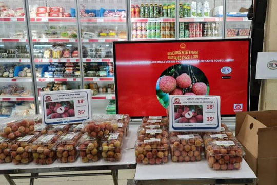 Vải thiều Thanh Hà bán giá nửa triệu đồng/kg tại Pháp