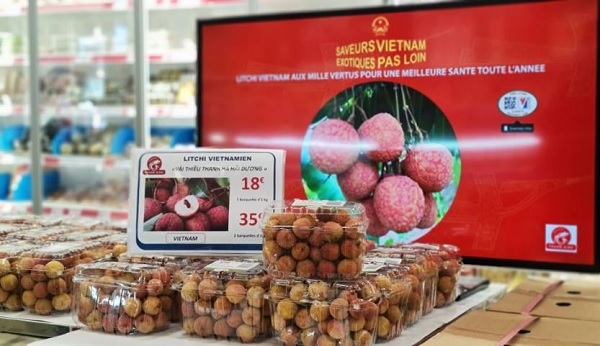 Pháp đẩy nhanh kế hoạch nhập khẩu vải thiều Việt Nam gắn tem iTrace247