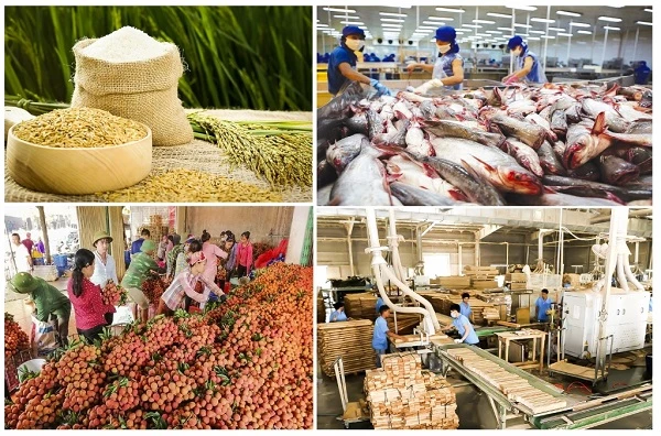 Xuất khẩu nông, lâm, thủy sản 5 tháng đầu năm của Việt Nam tăng hơn 30% so với cùng kỳ 2020, thu về 22,8 tỷ USD. 
