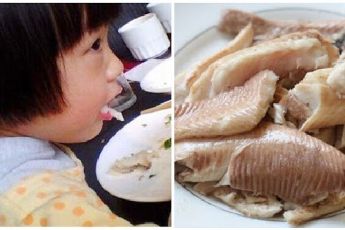 Trẻ ăn cá 2-3 lần một tuần thông minh hơn ăn thịt: 5 loại cá ít xương, tăng cường IQ, chiều cao rất tốt