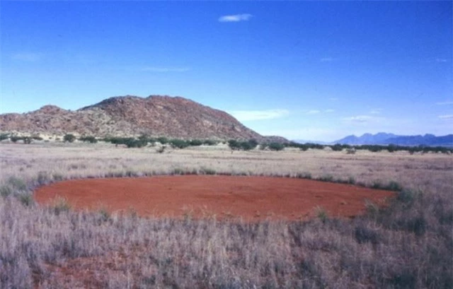 Vòng tròn bí ẩn được người Namibia tin là dấu chân của các vị thần 3